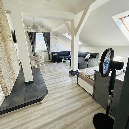 Apartman Theresa Decin Buitenkant foto