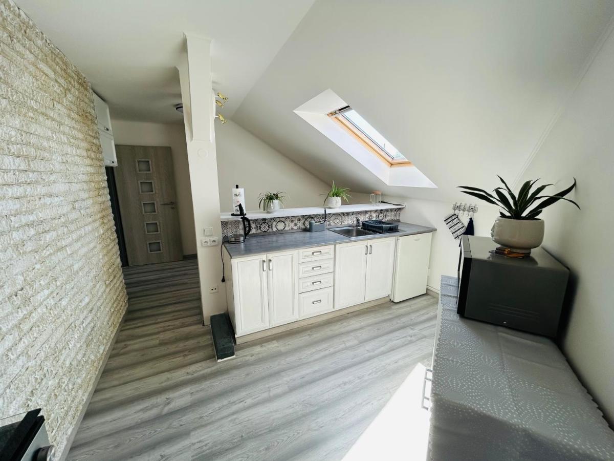 Apartman Theresa Decin Buitenkant foto