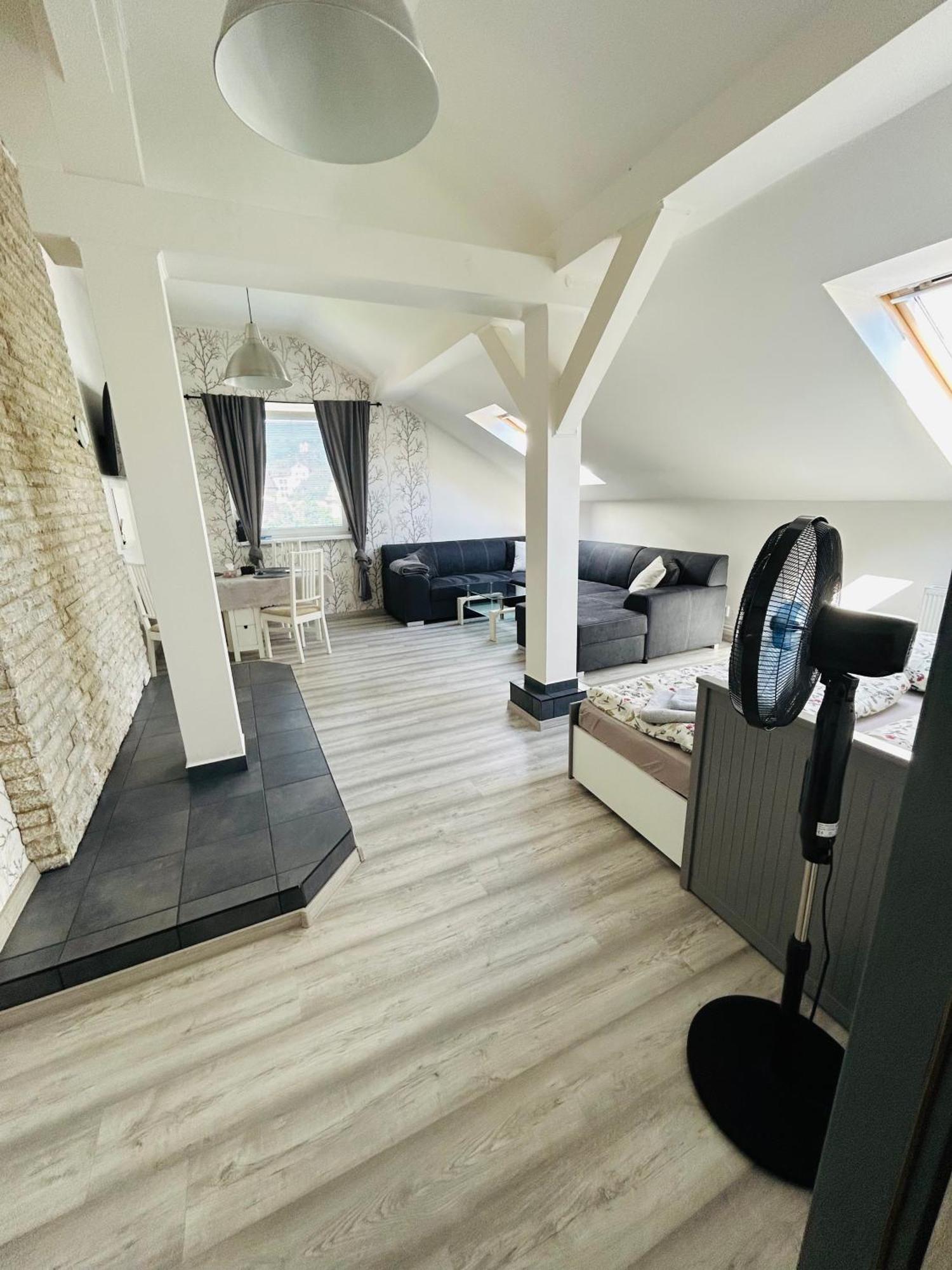 Apartman Theresa Decin Buitenkant foto
