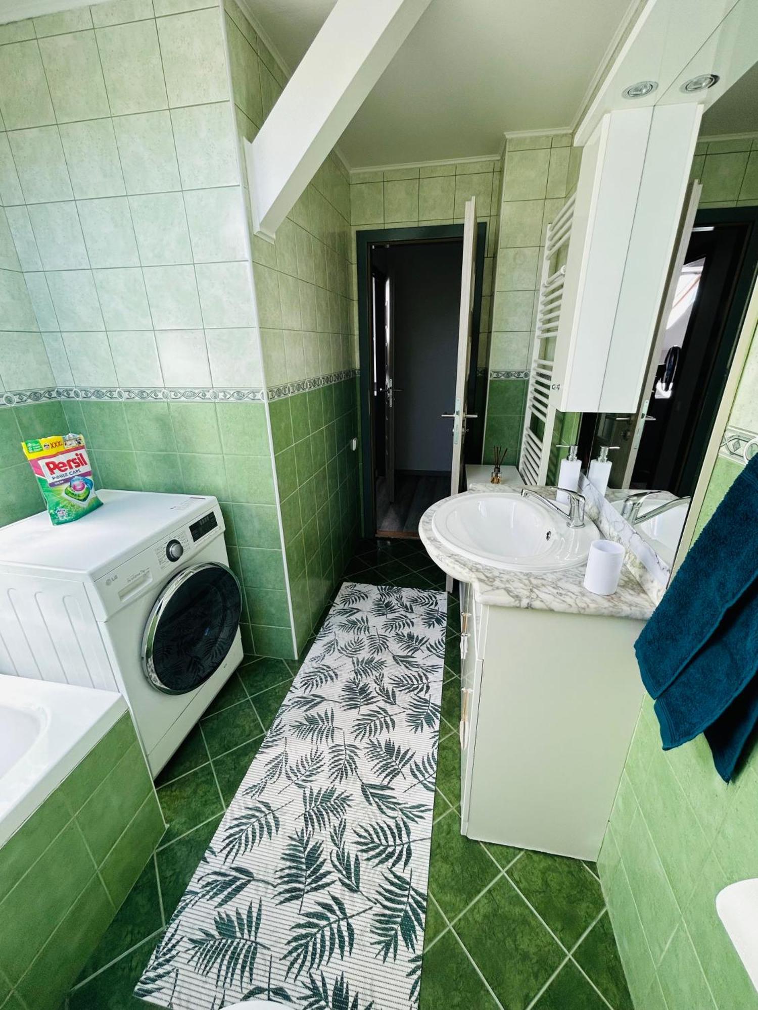Apartman Theresa Decin Buitenkant foto